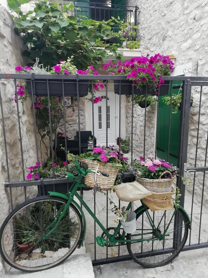 Apartman Teta Jadre Makarska Dış mekan fotoğraf